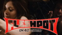 Fleshpot on 42nd Street (1973)